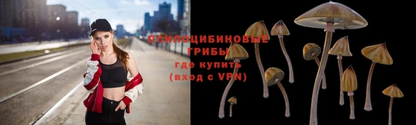 бошки Верхнеуральск